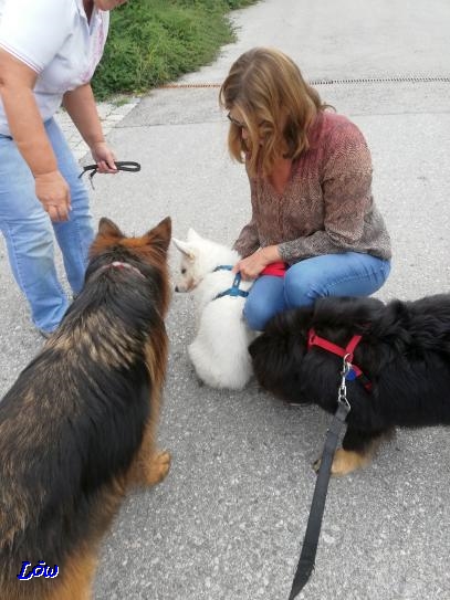 7.9.2018 - Treffen mit Kira und Teddy